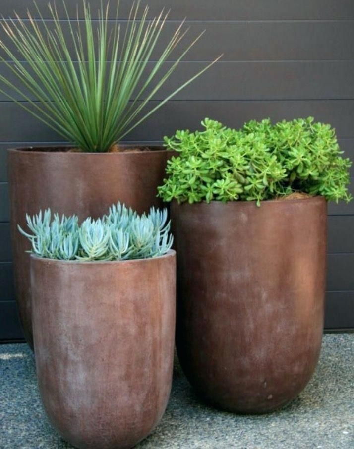 garden pots 